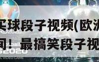 欧洲杯买球段子视频(欧洲杯球迷翻转瞬间！最搞笑段子视频曝光)