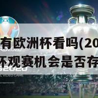 2024有欧洲杯看吗(2024欧洲杯观赛机会是否存在？)-第1张图片-吃大360 - 欧洲杯赛事直播